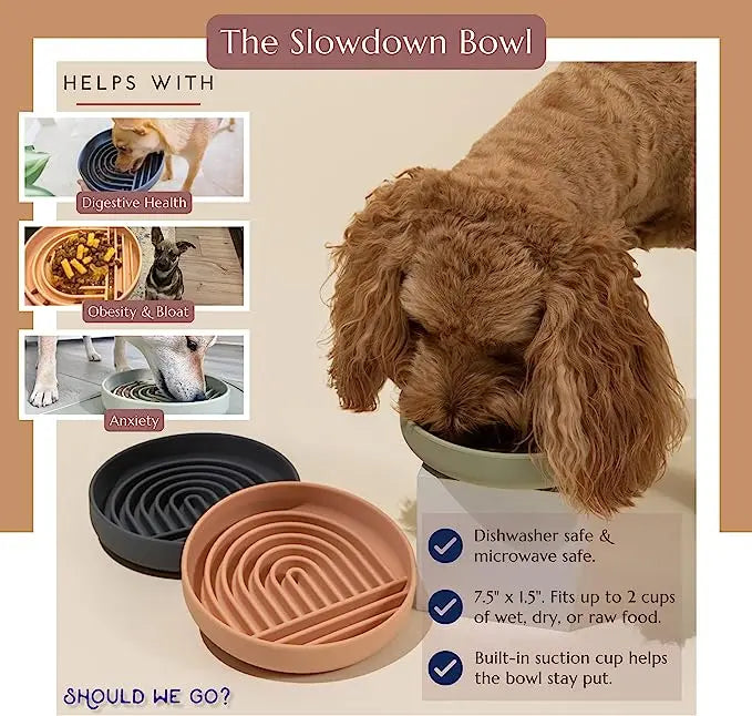Benefits of the Slow Feeder Bowl