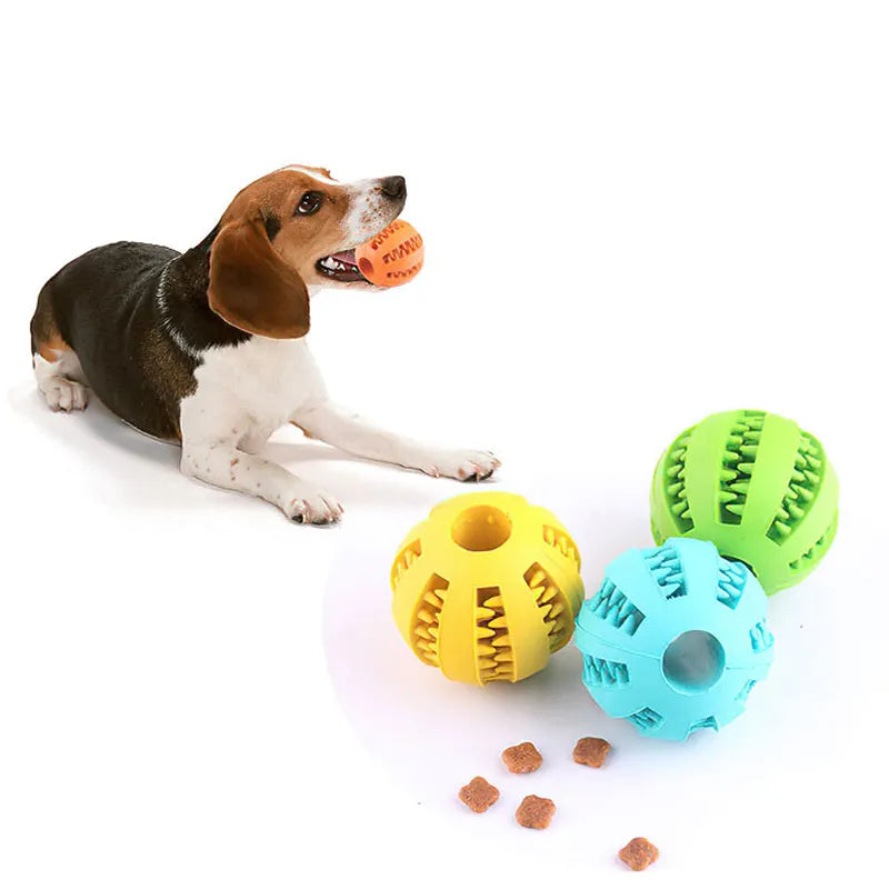 Interactive Treat Ball