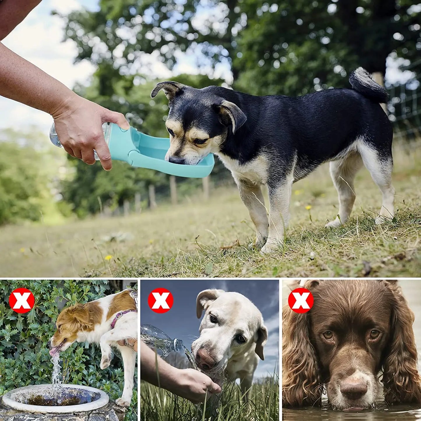 Portable Pet Travel Bottle in use